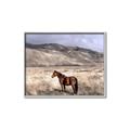 Picture of Lone Horse  _GroupedProduct_Rectangle_Landscape_Photography _GroupedProduct_Rectangle_Landscape_Canvas_Framed_
