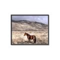 Picture of Lone Horse  _GroupedProduct_Rectangle_Landscape_Photography _GroupedProduct_Rectangle_Landscape_Canvas_Framed_