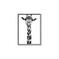 Picture of Long Neck II _GroupedProduct_Rectangle_Portrait_Photography _GroupedProduct_Rectangle_Portrait_Canvas_Framed_