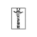 Picture of Long Neck II _GroupedProduct_Rectangle_Portrait_Photography _GroupedProduct_Rectangle_Portrait_Canvas_Framed_