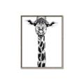 Picture of Long Neck II _GroupedProduct_Rectangle_Portrait_Photography _GroupedProduct_Rectangle_Portrait_Canvas_Framed_