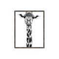 Picture of Long Neck II _GroupedProduct_Rectangle_Portrait_Photography _GroupedProduct_Rectangle_Portrait_Canvas_Framed_