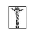Picture of Long Neck II _GroupedProduct_Rectangle_Portrait_Photography _GroupedProduct_Rectangle_Portrait_Canvas_Framed_