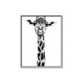 Picture of Long Neck II _GroupedProduct_Rectangle_Portrait_Photography _GroupedProduct_Rectangle_Portrait_Canvas_Framed_