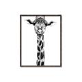 Picture of Long Neck II _GroupedProduct_Rectangle_Portrait_Photography _GroupedProduct_Rectangle_Portrait_Canvas_Framed_