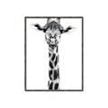 Picture of Long Neck II _GroupedProduct_Rectangle_Portrait_Photography _GroupedProduct_Rectangle_Portrait_Canvas_Framed_