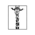 Picture of Long Neck II _GroupedProduct_Rectangle_Portrait_Photography _GroupedProduct_Rectangle_Portrait_Canvas_Framed_