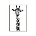 Picture of Long Neck II _GroupedProduct_Rectangle_Portrait_Photography _GroupedProduct_Rectangle_Portrait_Canvas_Framed_