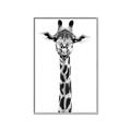 Picture of Long Neck II _GroupedProduct_Rectangle_Portrait_Photography _GroupedProduct_Rectangle_Portrait_Canvas_Framed_