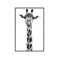 Picture of Long Neck II _GroupedProduct_Rectangle_Portrait_Photography _GroupedProduct_Rectangle_Portrait_Canvas_Framed_