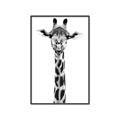 Picture of Long Neck II _GroupedProduct_Rectangle_Portrait_Photography _GroupedProduct_Rectangle_Portrait_Canvas_Framed_