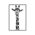 Picture of Long Neck II _GroupedProduct_Rectangle_Portrait_Photography _GroupedProduct_Rectangle_Portrait_Canvas_Framed_