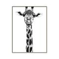 Picture of Long Neck II _GroupedProduct_Rectangle_Portrait_Photography _GroupedProduct_Rectangle_Portrait_Canvas_Framed_