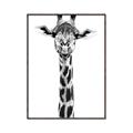 Picture of Long Neck II _GroupedProduct_Rectangle_Portrait_Photography _GroupedProduct_Rectangle_Portrait_Canvas_Framed_