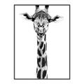Picture of Long Neck II _GroupedProduct_Rectangle_Portrait_Photography _GroupedProduct_Rectangle_Portrait_Canvas_Framed_