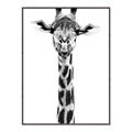 Picture of Long Neck II _GroupedProduct_Rectangle_Portrait_Photography _GroupedProduct_Rectangle_Portrait_Canvas_Framed_