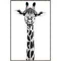 Picture of Long Neck II _GroupedProduct_Rectangle_Portrait_Photography _GroupedProduct_Rectangle_Portrait_Canvas_Framed_