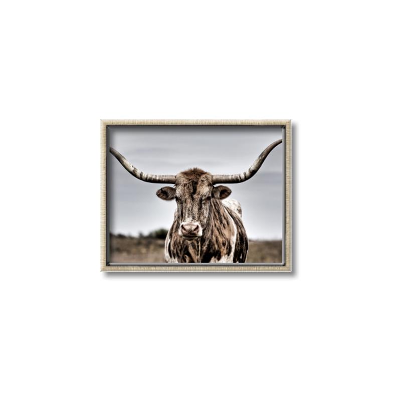 Picture of Longhorn Bull _GroupedProduct_Rectangle_Landscape_Photography _GroupedProduct_Rectangle_Landscape_Canvas_Framed_