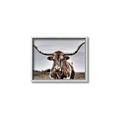Picture of Longhorn Bull _GroupedProduct_Rectangle_Landscape_Photography _GroupedProduct_Rectangle_Landscape_Canvas_Framed_