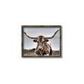 Picture of Longhorn Bull _GroupedProduct_Rectangle_Landscape_Photography _GroupedProduct_Rectangle_Landscape_Canvas_Framed_