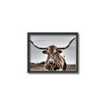 Picture of Longhorn Bull _GroupedProduct_Rectangle_Landscape_Photography _GroupedProduct_Rectangle_Landscape_Canvas_Framed_