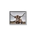 Picture of Longhorn Bull _GroupedProduct_Rectangle_Landscape_Photography _GroupedProduct_Rectangle_Landscape_Canvas_Framed_