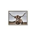 Picture of Longhorn Bull _GroupedProduct_Rectangle_Landscape_Photography _GroupedProduct_Rectangle_Landscape_Canvas_Framed_