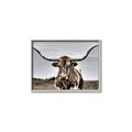Picture of Longhorn Bull _GroupedProduct_Rectangle_Landscape_Photography _GroupedProduct_Rectangle_Landscape_Canvas_Framed_