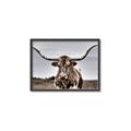 Picture of Longhorn Bull _GroupedProduct_Rectangle_Landscape_Photography _GroupedProduct_Rectangle_Landscape_Canvas_Framed_