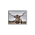 Picture of Longhorn Bull _GroupedProduct_Rectangle_Landscape_Photography _GroupedProduct_Rectangle_Landscape_Canvas_Framed_