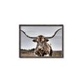 Picture of Longhorn Bull _GroupedProduct_Rectangle_Landscape_Photography _GroupedProduct_Rectangle_Landscape_Canvas_Framed_