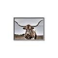 Picture of Longhorn Bull _GroupedProduct_Rectangle_Landscape_Photography _GroupedProduct_Rectangle_Landscape_Canvas_Framed_