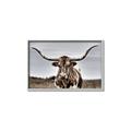 Picture of Longhorn Bull _GroupedProduct_Rectangle_Landscape_Photography _GroupedProduct_Rectangle_Landscape_Canvas_Framed_