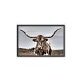 Picture of Longhorn Bull _GroupedProduct_Rectangle_Landscape_Photography _GroupedProduct_Rectangle_Landscape_Canvas_Framed_