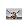 Picture of Longhorn Bull _GroupedProduct_Rectangle_Landscape_Photography _GroupedProduct_Rectangle_Landscape_Canvas_Framed_