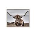 Picture of Longhorn Bull _GroupedProduct_Rectangle_Landscape_Photography _GroupedProduct_Rectangle_Landscape_Canvas_Framed_