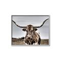 Picture of Longhorn Bull _GroupedProduct_Rectangle_Landscape_Photography _GroupedProduct_Rectangle_Landscape_Canvas_Framed_
