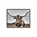 Picture of Longhorn Bull _GroupedProduct_Rectangle_Landscape_Photography _GroupedProduct_Rectangle_Landscape_Canvas_Framed_