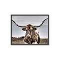 Picture of Longhorn Bull _GroupedProduct_Rectangle_Landscape_Photography _GroupedProduct_Rectangle_Landscape_Canvas_Framed_