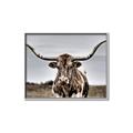 Picture of Longhorn Bull _GroupedProduct_Rectangle_Landscape_Photography _GroupedProduct_Rectangle_Landscape_Canvas_Framed_