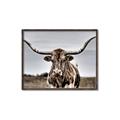 Picture of Longhorn Bull _GroupedProduct_Rectangle_Landscape_Photography _GroupedProduct_Rectangle_Landscape_Canvas_Framed_