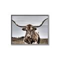 Picture of Longhorn Bull _GroupedProduct_Rectangle_Landscape_Photography _GroupedProduct_Rectangle_Landscape_Canvas_Framed_