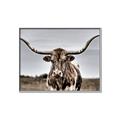 Picture of Longhorn Bull _GroupedProduct_Rectangle_Landscape_Photography _GroupedProduct_Rectangle_Landscape_Canvas_Framed_
