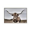 Picture of Longhorn Bull _GroupedProduct_Rectangle_Landscape_Photography _GroupedProduct_Rectangle_Landscape_Canvas_Framed_
