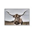 Picture of Longhorn Bull _GroupedProduct_Rectangle_Landscape_Photography _GroupedProduct_Rectangle_Landscape_Canvas_Framed_