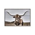 Picture of Longhorn Bull _GroupedProduct_Rectangle_Landscape_Photography _GroupedProduct_Rectangle_Landscape_Canvas_Framed_