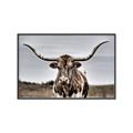 Picture of Longhorn Bull _GroupedProduct_Rectangle_Landscape_Photography _GroupedProduct_Rectangle_Landscape_Canvas_Framed_