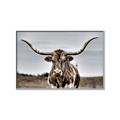 Picture of Longhorn Bull _GroupedProduct_Rectangle_Landscape_Photography _GroupedProduct_Rectangle_Landscape_Canvas_Framed_