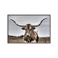 Picture of Longhorn Bull _GroupedProduct_Rectangle_Landscape_Photography _GroupedProduct_Rectangle_Landscape_Canvas_Framed_