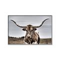 Picture of Longhorn Bull _GroupedProduct_Rectangle_Landscape_Photography _GroupedProduct_Rectangle_Landscape_Canvas_Framed_